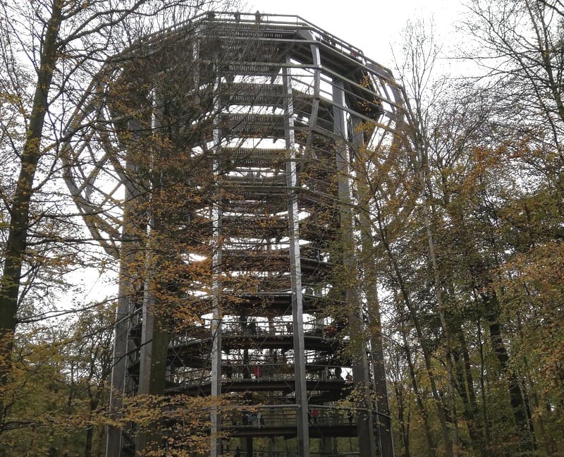 baumwipfelpfad-ruegen